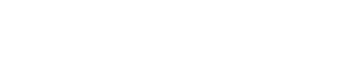 Fiat Hitachi