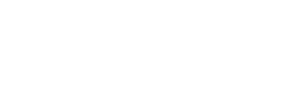 New Holland Construction